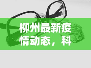 柳州最新疫情动态，科学防控，共筑安全防线