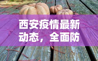 西安疫情最新动态，全面防控与民生保障并重的应对策略