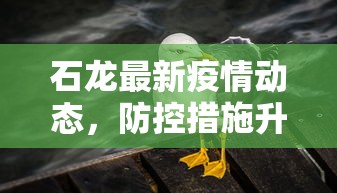 石龙最新疫情动态，防控措施升级，居民生活逐步恢复正常