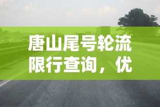 唐山尾号轮流限行查询，优化城市交通，提升空气质量