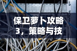 保卫萝卜攻略3，策略与技巧的深度解析