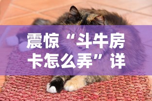 震惊“斗牛房卡怎么弄”详细介绍房卡使用方式